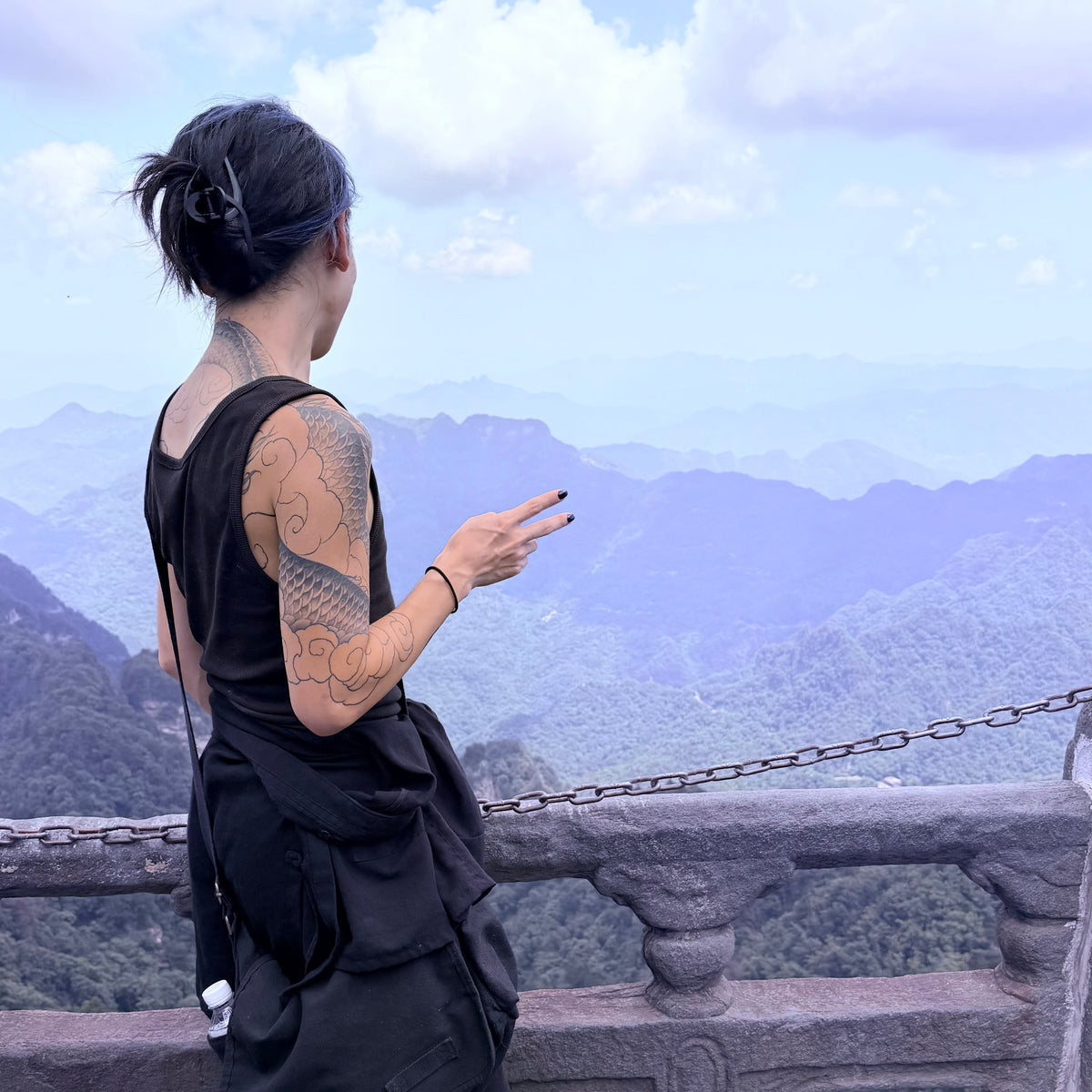 What is Wudang?