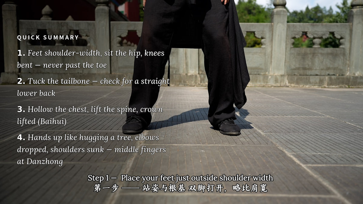 Wudang Zhan Zhuang — The Standing Structure
