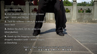 Wudang Zhan Zhuang — The Standing Structure