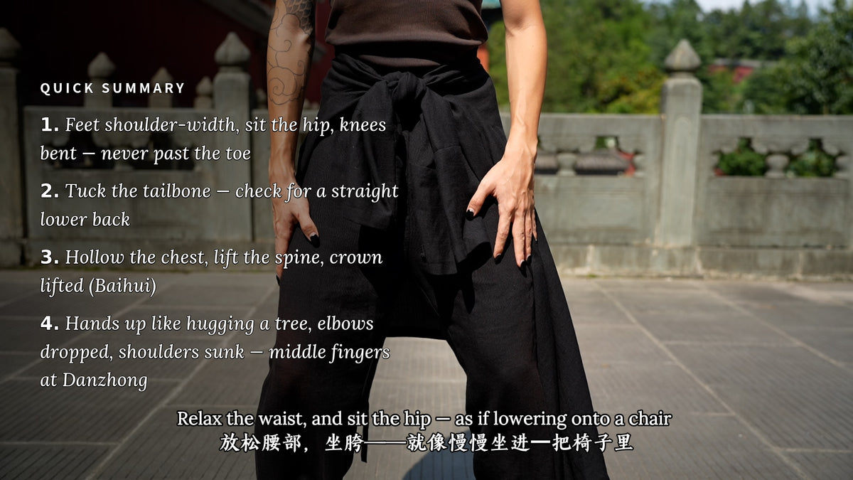 Wudang Zhan Zhuang — The Standing Structure